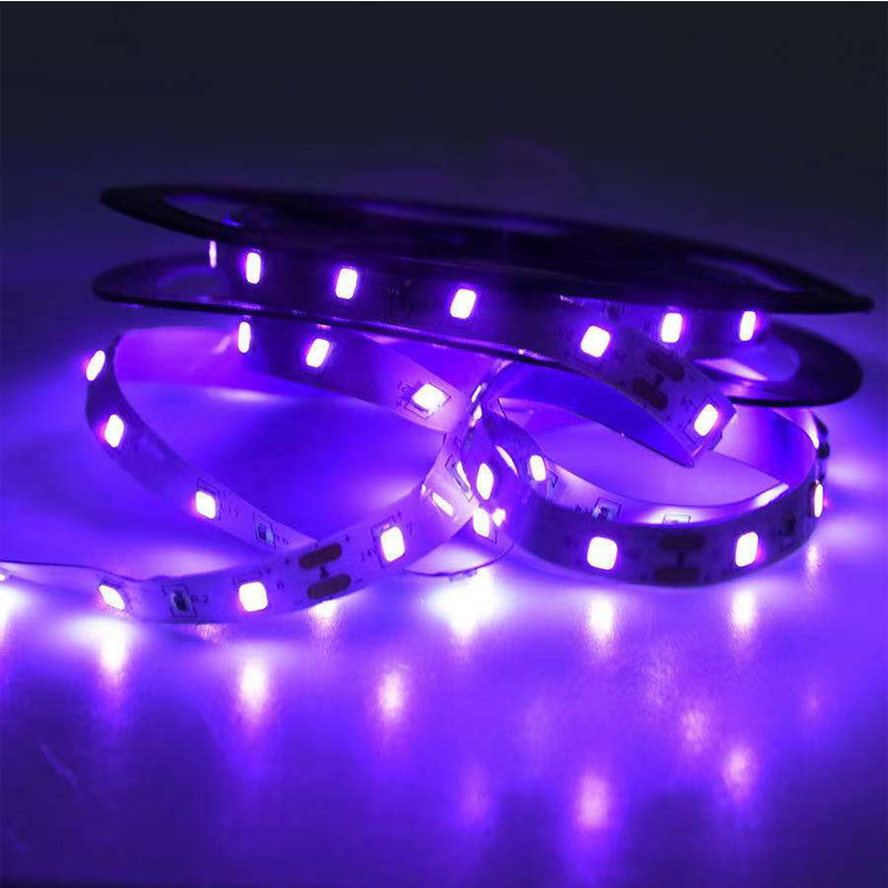ضوء الأشعة فوق البنفسجية LED ب - مراجعة Uv Led Lamp Nail وسعره